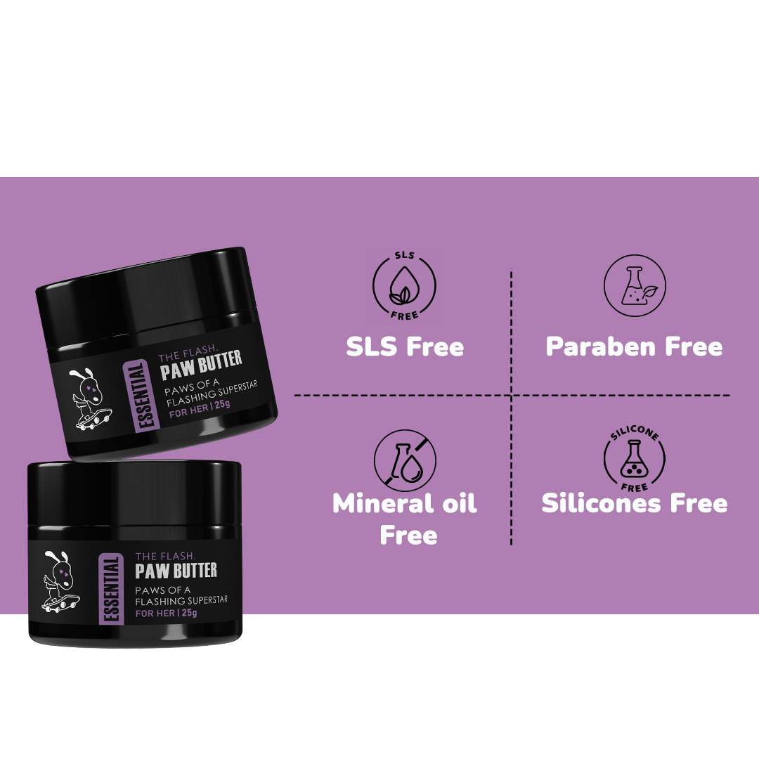 Pawssentials -  The Flash Paw Butter Essential for Dogs 25g | Blooming Lavender - Premium  from TailBlaze - Just Rs. 245! Shop now at TailBlaze