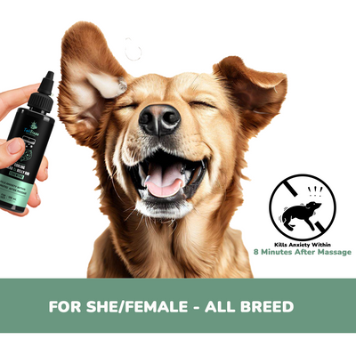 Pawssentials - The Intense Cooling Head & Belly Rub Essential 100ml | Kills Anxiety within 8 minutes after massage - Premium  from TailBlaze - Just Rs. 395! Shop now at TailBlaze