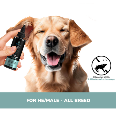 Pawssentials - The Intense Cooling Head & Belly Rub Essential 100ml | Kills Anxiety within 8 minutes after massage - Premium  from TailBlaze - Just Rs. 395! Shop now at TailBlaze