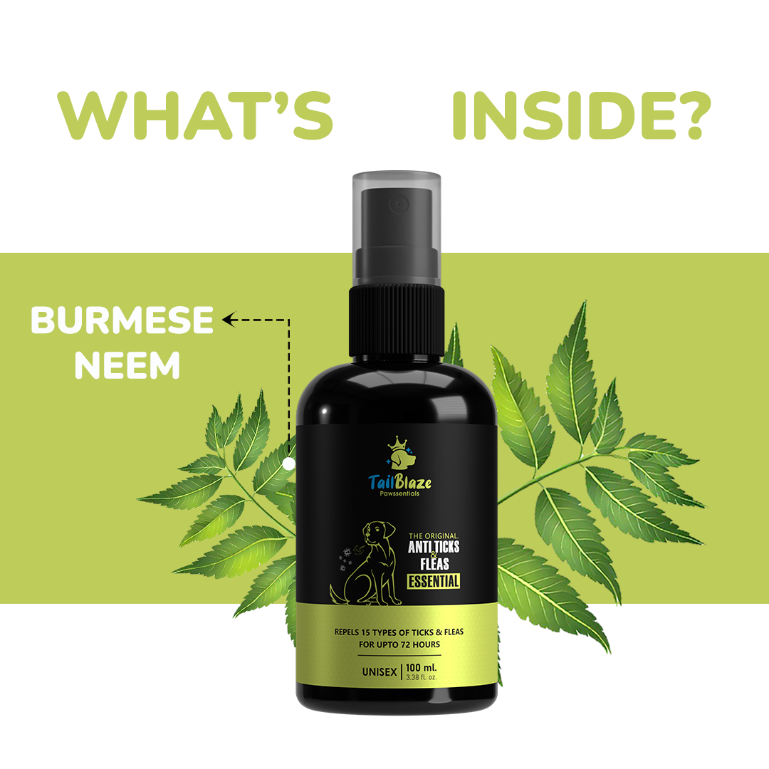 Neem oil and sales fleas