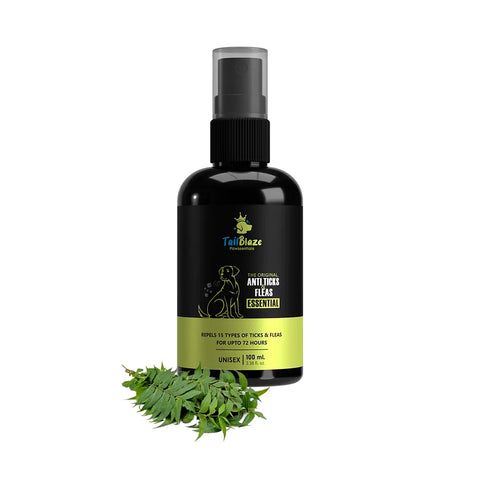 How to cure and prevent ticks & fleas infestation on your pet dog?