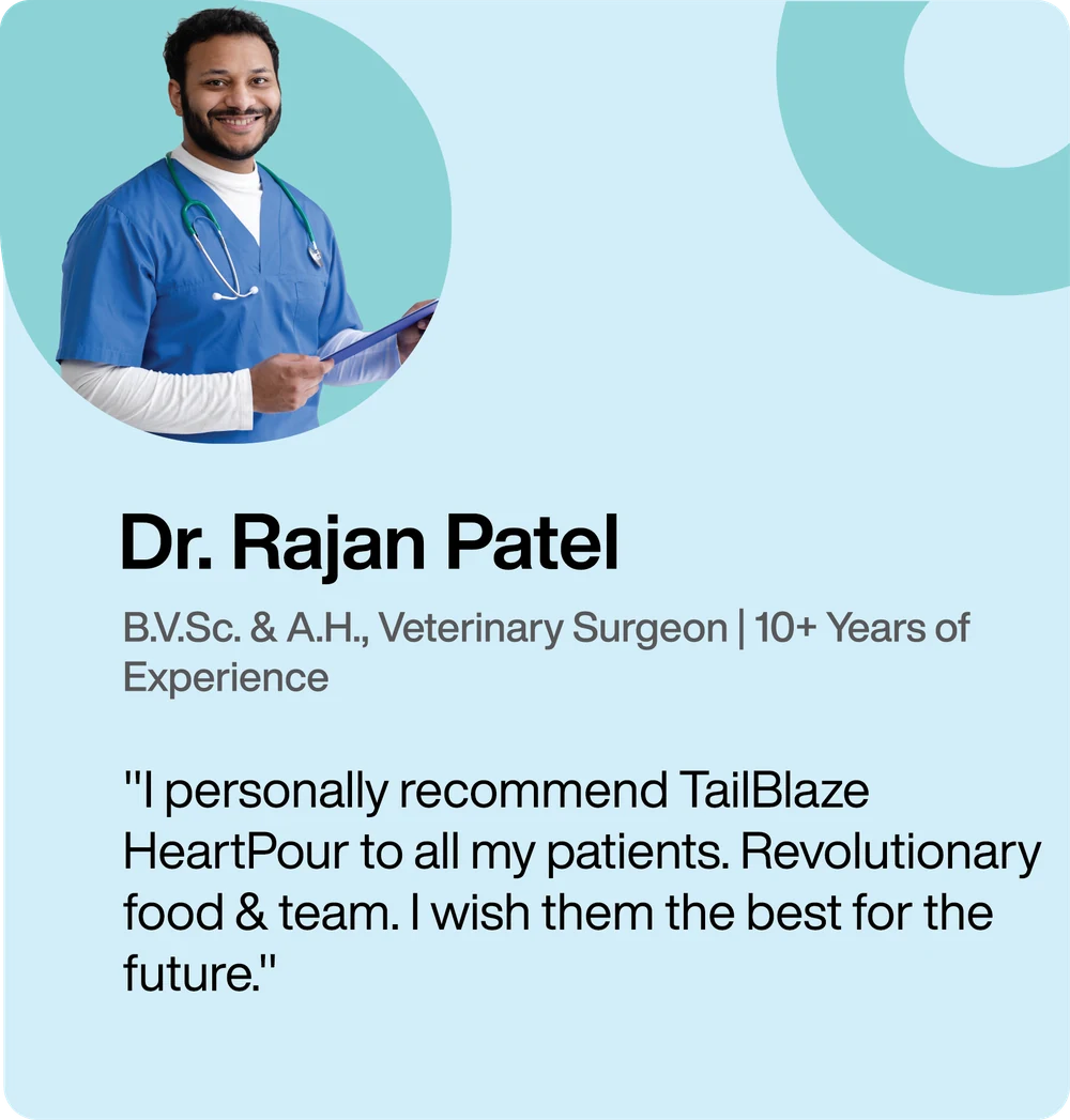 Dr. Rajan Patel, B.V.Sc. & A.H., Veterinary Surgeon with 10+ years of experience — “I personally recommend TailBlaze HeartPour to all my patients. Revolutionary food & team.”