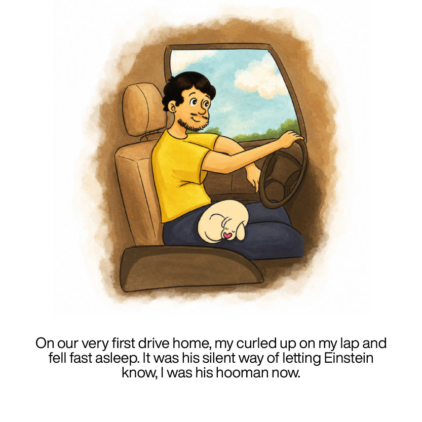 The TailBlaze story, panel 1 of 21