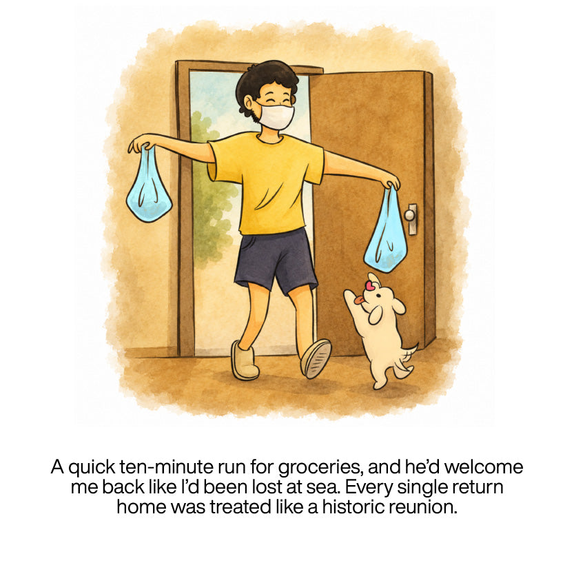 The TailBlaze story, panel 2 of 21