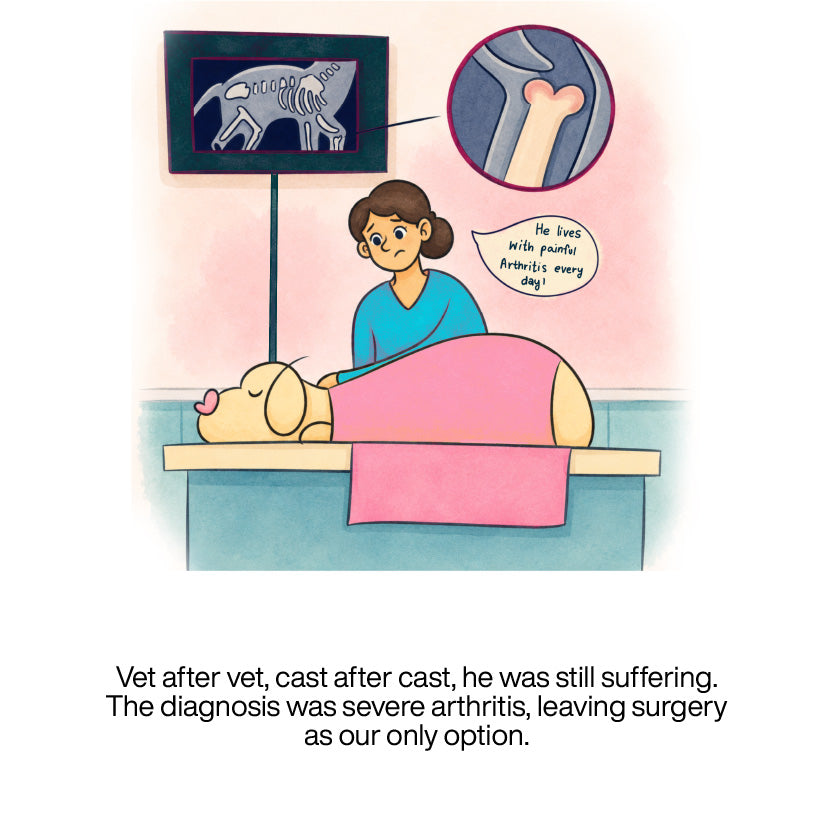 The TailBlaze story, panel 11 of 21