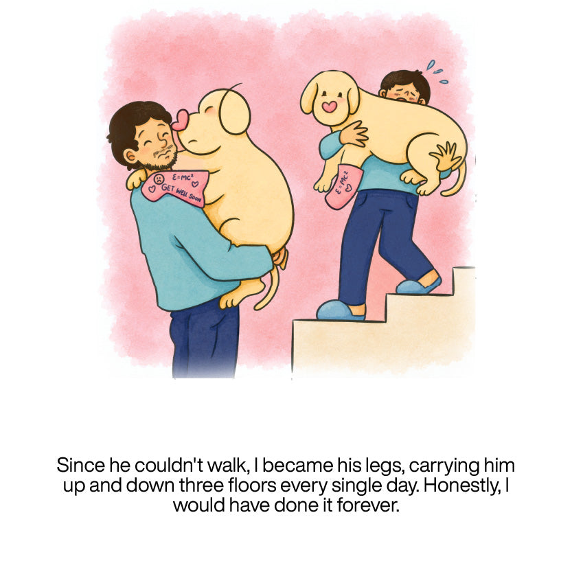 The TailBlaze story, panel 12 of 21
