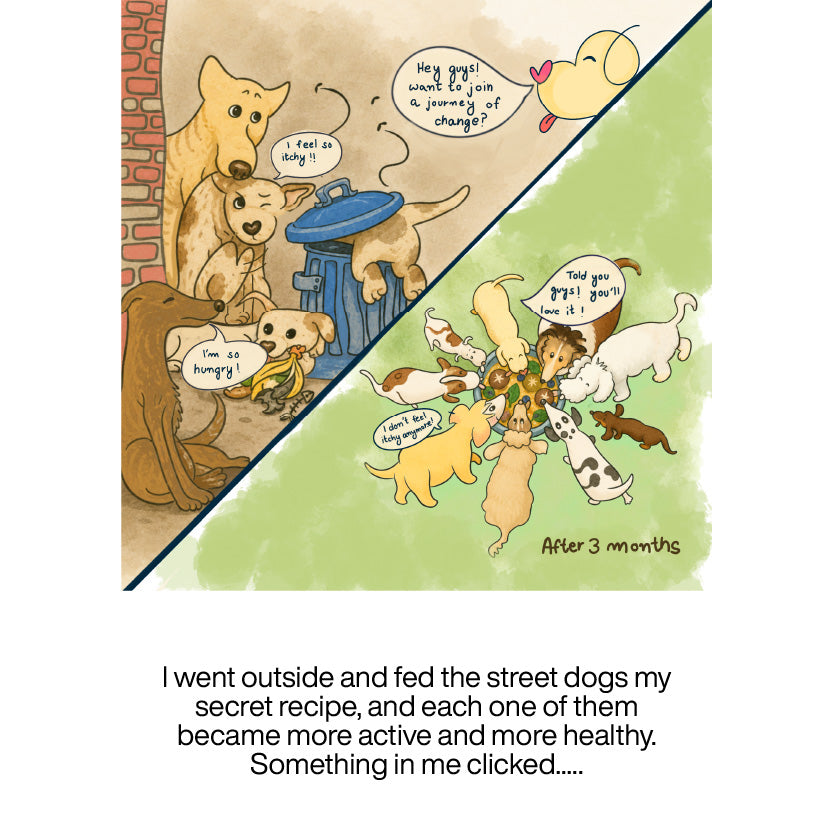 The TailBlaze story, panel 16 of 21