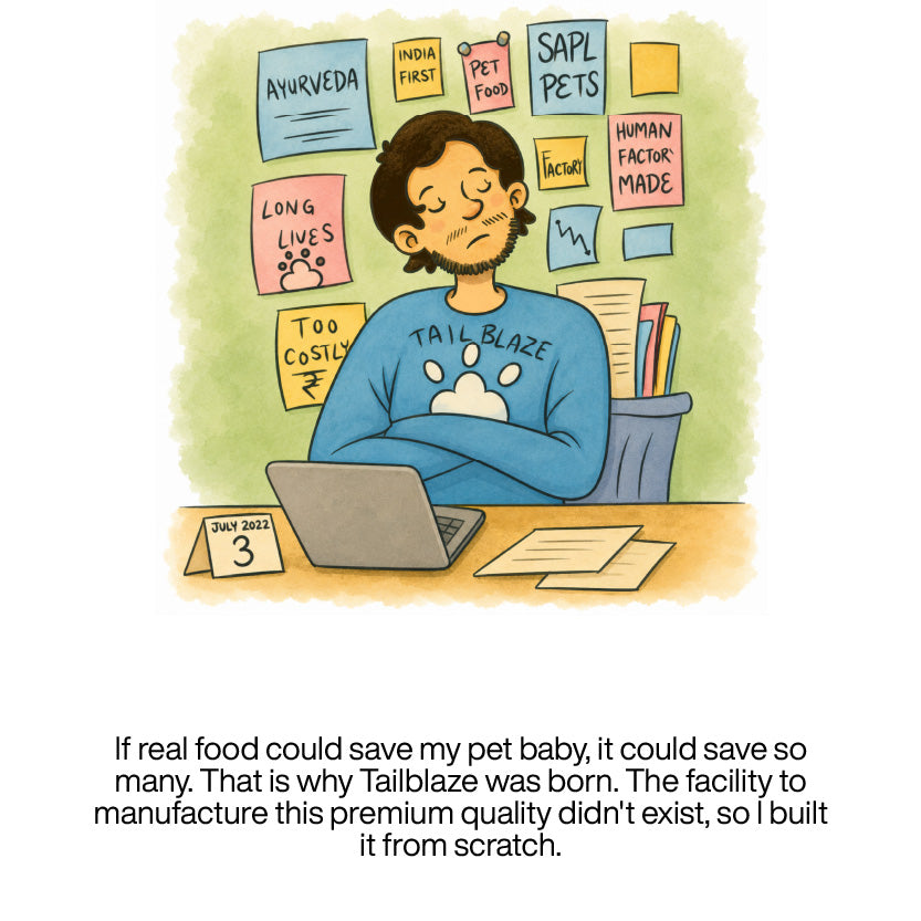 The TailBlaze story, panel 17 of 21