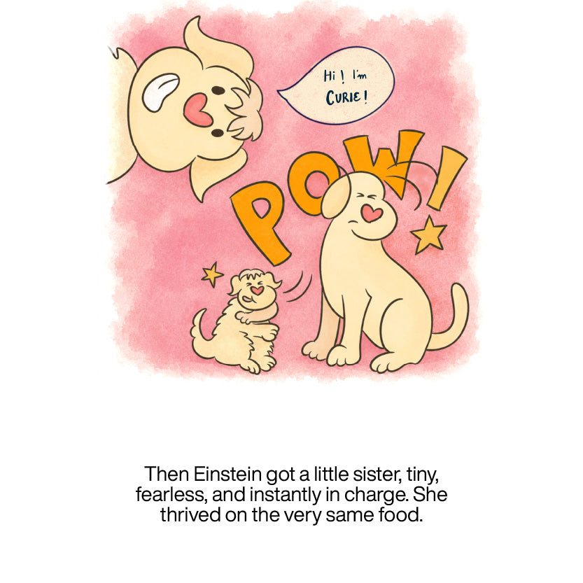 The TailBlaze story, panel 18 of 21
