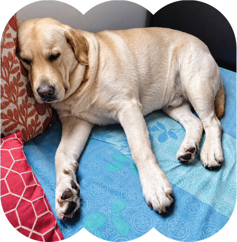 From 44kgs and arthritic